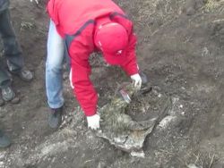В Луганской области нашли захоронение тел со следами пыток