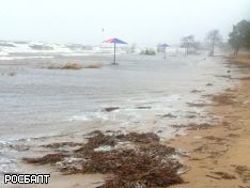 Водоросли могут вырабатывать опасный для человека вирус