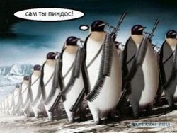 Почему американцев называют «пиндосами»