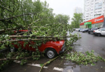 Удивлены претензиями: Росгидромет прокомментировал обвинения Генпрокуратуры в ошибочном прогнозе