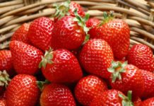 Украина экспортировала земляники и клубники на не менее 1,5 млн долларов