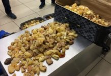 Таможня на Урале помешала китайцам вывезти 50 кг янтаря