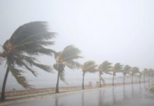 Ураган Ирма во Флориде — последствия, фото и видео, последние новости 12.09.2017