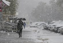 Небольшое потепление: выходные в Москве пройдут без снега