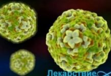 Опасный вирус Коксаки: профилактика, симптомы, пути заражения и лечения у взрослых и детей