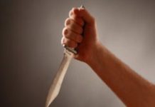Экс-вратарь сборной СССР по хоккею погиб от руки дочери