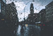 Новая неделя в Петербурге начнется с гроз, дождей и сильного ветра