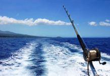 Снасти для профессиональной рыбной ловли на море