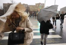 Ураган в Москве 22.04.2018: Видео, фото, новости, список пострадавших