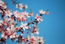 Выходные в мае 2018 года в России — как отдыхаем, календарь