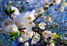 Как отдыхаем в мае 2018: официальные выходные, календарь