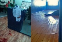 Под Новосибирском студент колледжа расстрелял однокурсников — последние новости, фото и видео с места события, подобности