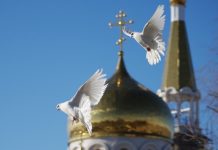 Что нельзя делать на Троицу и в Духов день после Троицы