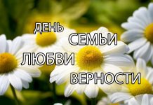 День семьи, любви и верности: приметы на замужество, счастливый брак