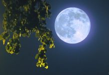 Фаза луны сегодня 18 сентября 2018 — какая луна сейчас, растущая или убывающая