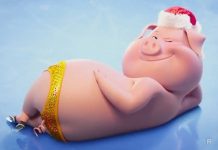 Новый 2019 год встречать лучше в шумной компании