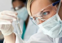 Моллюски могут спасти от рака и заменить химиотерапию