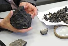 Теория внеземного происхождения жизни подтверждена учёными-исследователями