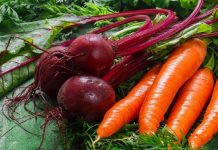 Когда нужно выкапывать морковь и свеклу на зиму: Корнеплоды нельзя подкармливать азотом с середины лета