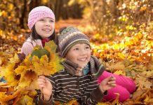 Осенние каникулы в школе в 2018 году — с какого числа начинаются первые каникулы. Календарь каникул 2018-2019
