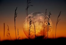 Фаза луны сегодня 11 октября 2018 — какая луна сейчас, растущая или убывающая