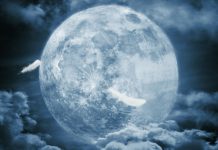 Фаза луны сегодня 19 октября 2018 — какая луна сейчас, растущая или убывающая