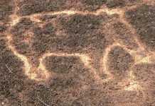 На западе Индии в штате Махараштра найдены уникальные древние рисунки