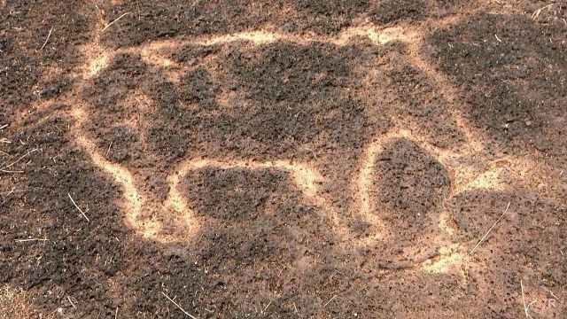 На западе Индии в штате Махараштра найдены уникальные древние рисунки