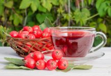 Отвар из боярышника улучшает настроение и помогает при бессоннице
