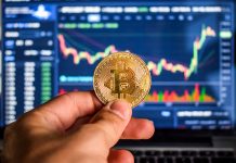 Goldman Sachs: Bitcoin подорожает до $13 971 в ближайшее время финансы