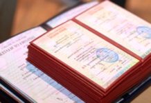 Образование и работа по специальности Образование и работа по специальности