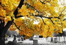 Гранитные памятники: одинарные, двойные, мемориалы, авторский проект, установка под ключ Гранитные памятники: одинарные, двойные, мемориалы, авторский проект, установка под ключ