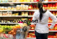Какие регионы кормят страну дотации регионам