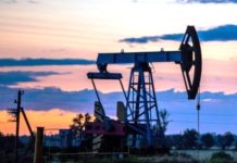 Чем заменит Беларусь российскую нефть нефть добыча