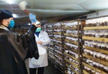З способа, как освятить пасхальный кулич на карантине окропление