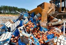 Почему у нас проще уничтожить продукты, чем раздать бедным? свалка