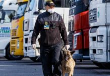 Граница не на замке: почему Украина стала мировым центром контрабанды осмотр