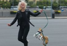 В Японии разрабатывают устройства для общения людей и животных прогулка