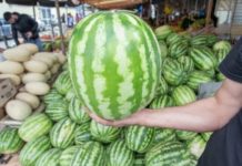 Дорогой сезон: почему цены на продукты в Украине бьют рекорды арбуз