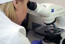 Физики изучили условия, при которых не работает третий закон Ньютона исследования