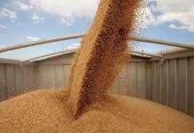 Затяжной карантин: почему украинская экономика обвалилась на 11% и чего ждать дальше уборка