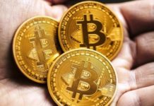 Обвал и это не предел. Почему упал курс биткоина и чего ждать в будущем криптовалюта