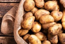Пюре, драники и фри: полезен ли картофель для худеющих картошка