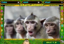 Проверено временем: почему Crazy Monkey всегда в топе игровой слот