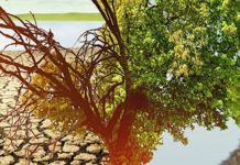 Точка невозврата: Ученые считают, что климату не поможет даже полное прекращение выбросов экология