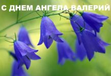 20 ноября день Ангела Валерия: открытки, стихи, картинки колокольчики