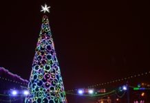 Самодостаточная форма: государства-семьи в 2021 году наберут силу новогодний атрибут