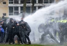 Протест тюльпанов. Почему начались беспорядки в Голландии разгон митингующих