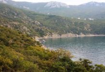 Россия ввела запрет иностранцам на владение землей в Крыму: что будет с домами и участками 10 тыс. украинцев крымское побережье