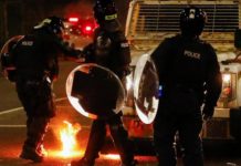 Непримиримая позиция: почему вспыхнули протесты в Северной Ирландии полицейские на улицах